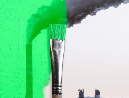 Greenwashing-Verbot: Die neuen Regeln für Umweltwerbung im Handwerk